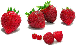 fraises